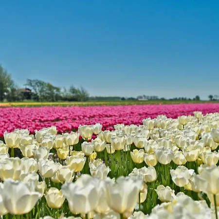 Prinsenhof # Twaalf Διαμέρισμα Μπέργκεν