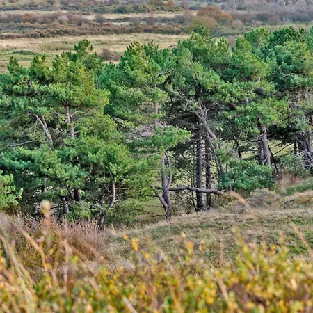 Appartement Prinsenhof # Twaalf