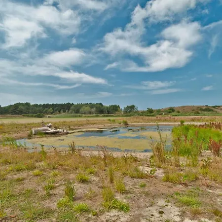 Prinsenhof # Twaalf * Bergen