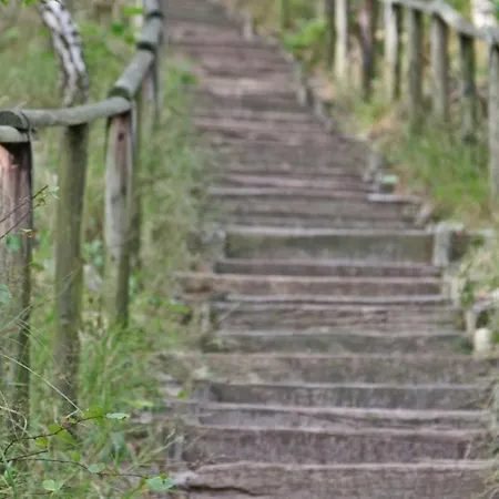 Prinsenhof # Twaalf Bergen