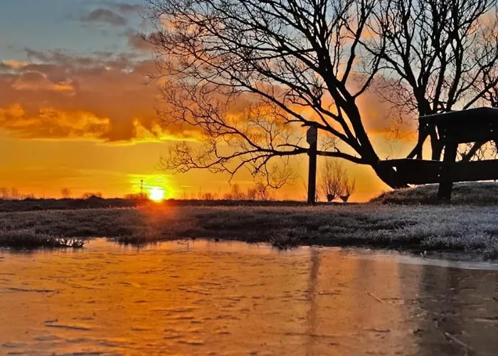 Prinsenhof # Twaalf * Bergen