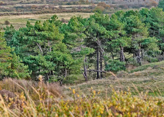 Appartement Prinsenhof # Twaalf