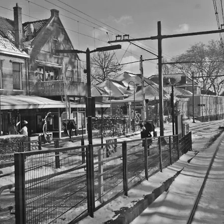 Prinsenhof # Twaalf * Bergen