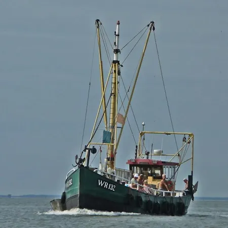 Prinsenhof # Twaalf Bergen