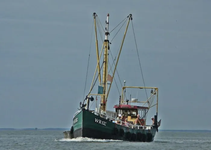 Prinsenhof # Twaalf Bergen