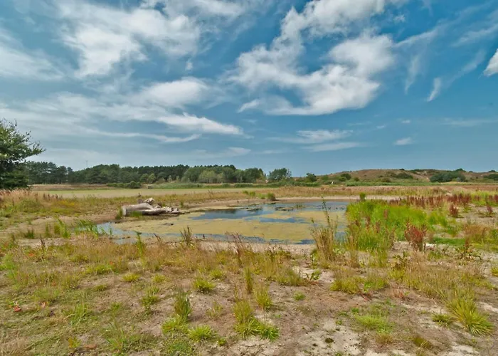 Prinsenhof # Twaalf * Bergen