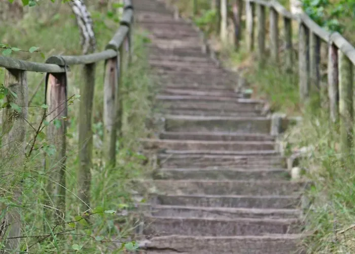 Prinsenhof # Twaalf Bergen