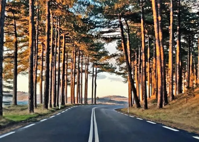 Apartament Prinsenhof # Twaalf Bergen